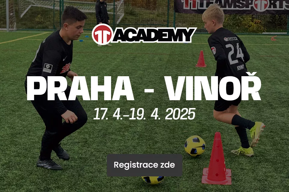 VinorVelikonoce