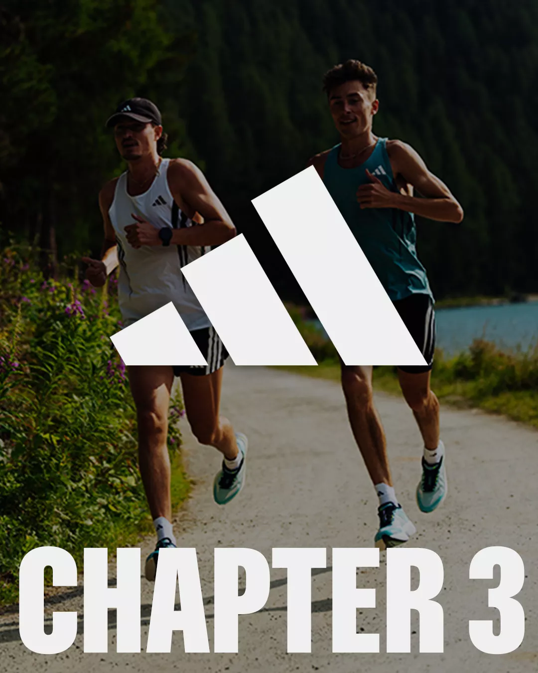 Κεφάλαιο 3: adidas