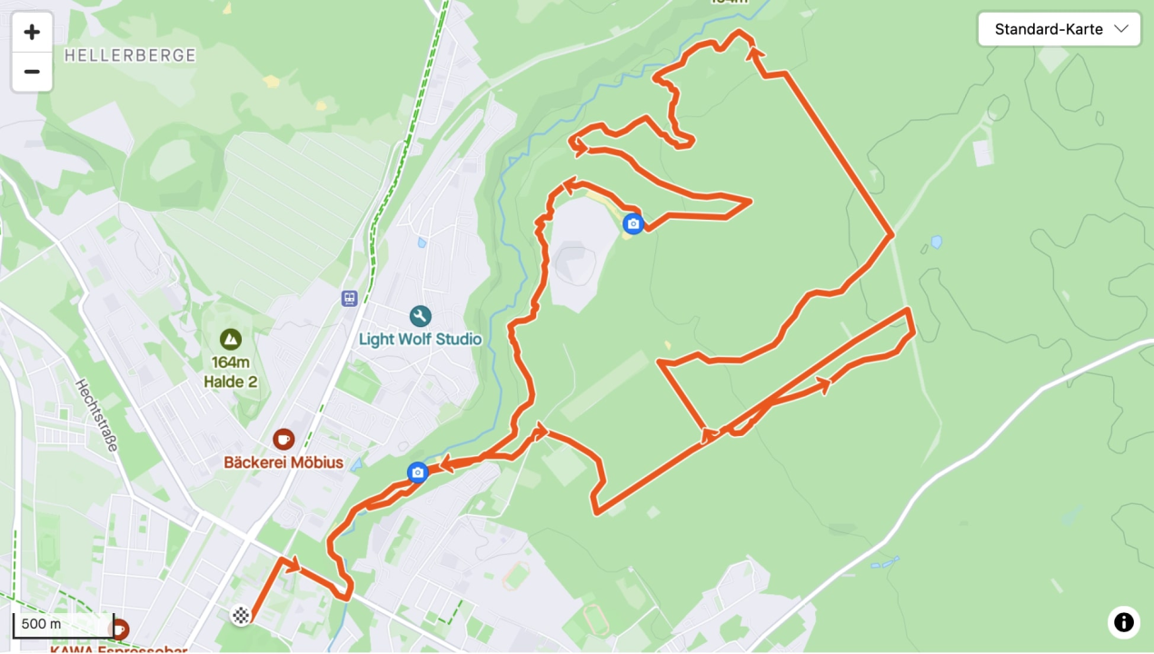 Trailrun Höhenmeter sammeln in der Dresdner Heide