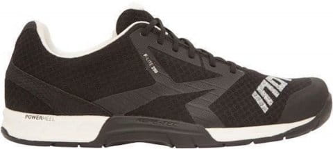 F-LITE 250 (S)