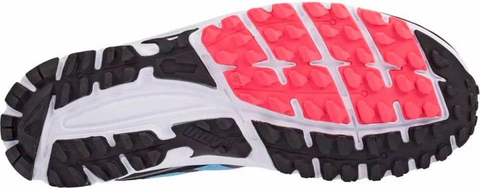 Trail shoes INOV-8 PARKCLAW 240 (S)