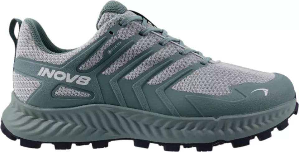 Shoes INOV-8 ROCLITE GTX M