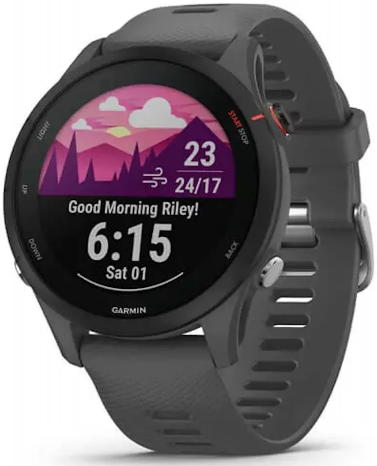 Relógio Garmin Forerunner® 255, Slate Gray