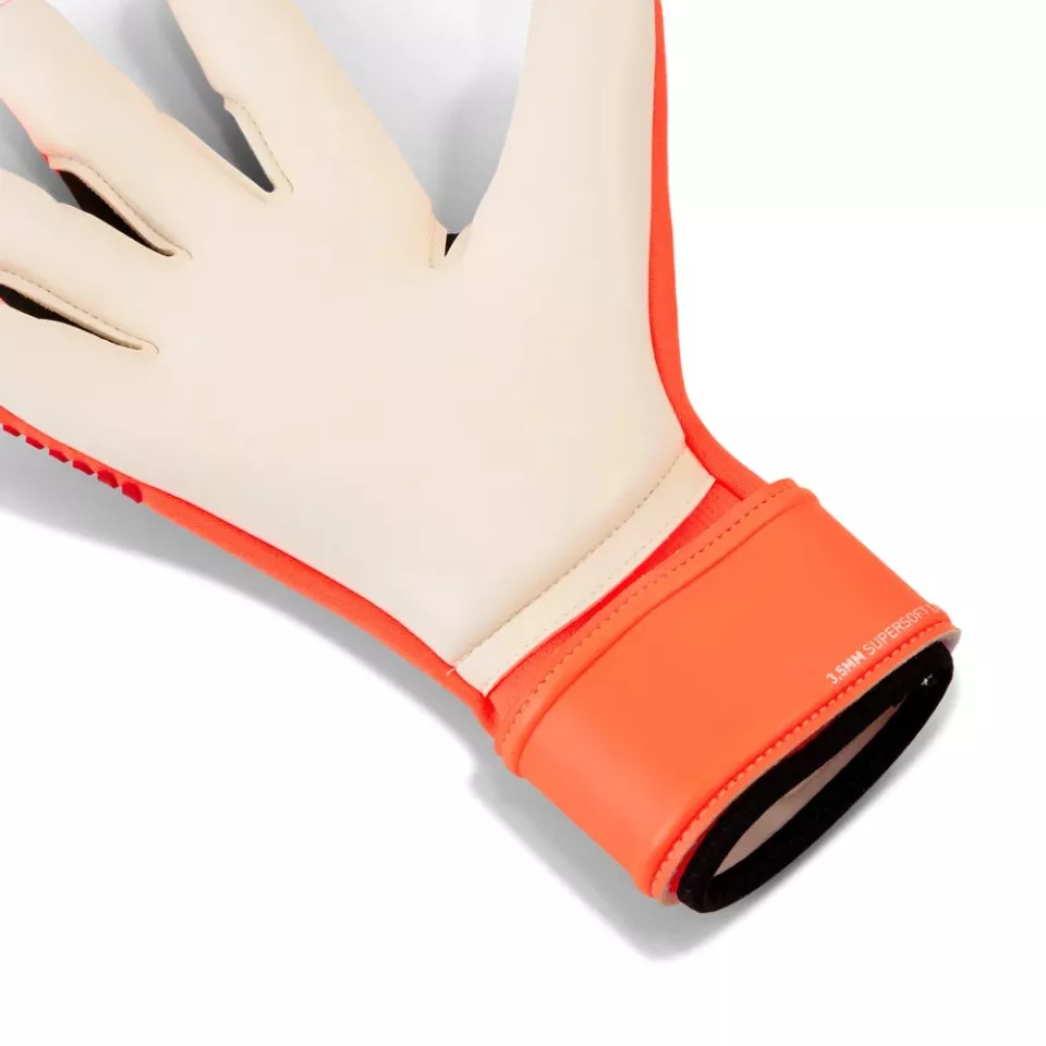 Luvas de Guarda-Redes Puma FUTURE Pro SGC Goalkeeper Gloves