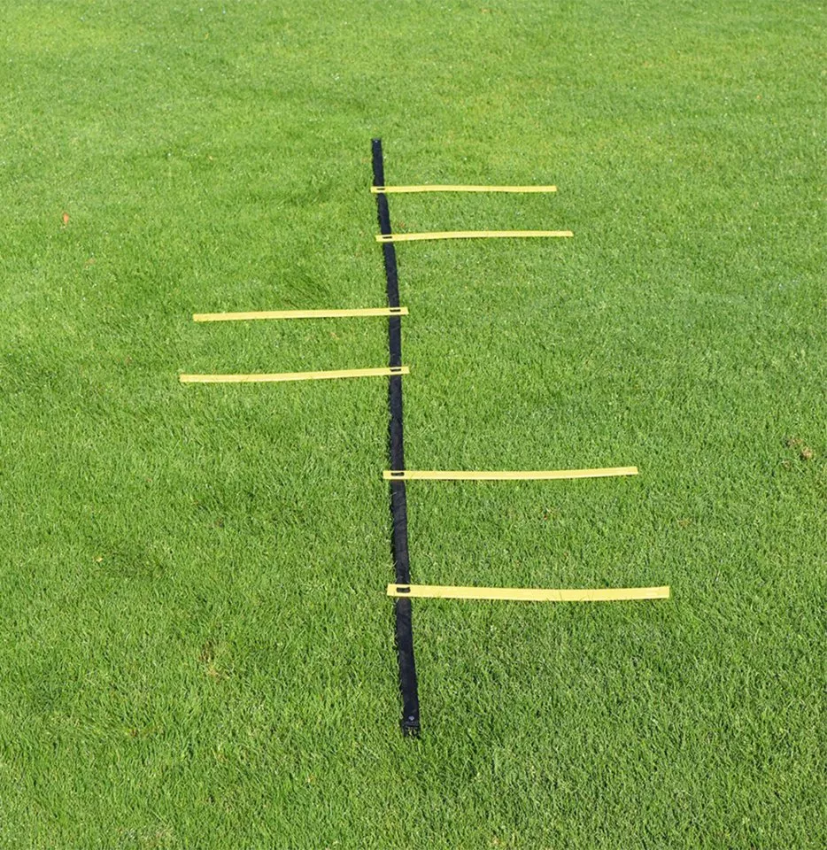 Scara de coordonare Cawila goalkeeper ladder & bag 6 rungs