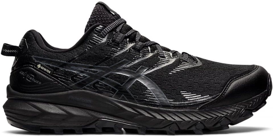 Trail shoes ASICS GEL-Trabuco 10 GTX