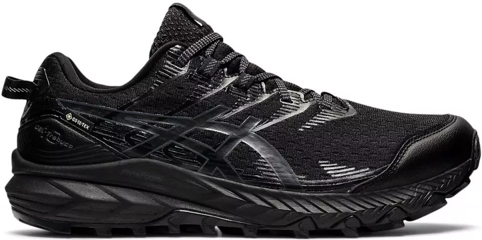 Trail shoes ASICS GEL-Trabuco 10 GTX