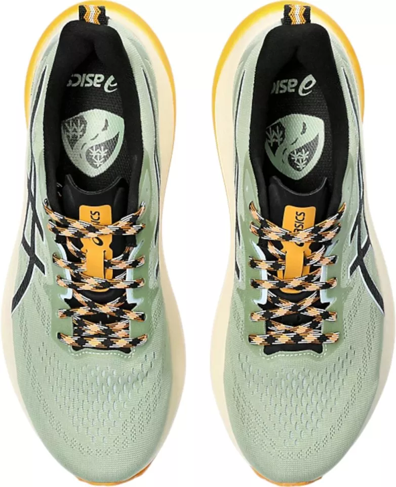アシックス GT-2000 12 TR 24.5センチ ASICS スニーカー GT-2000 12 TR / ウィメンズ スタンダード
