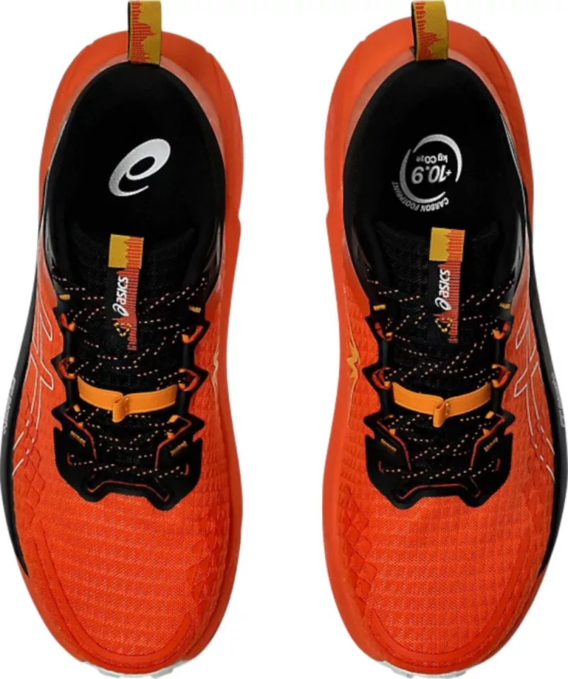 Trail-Schuhe Asics GEL-Trabuco 13
