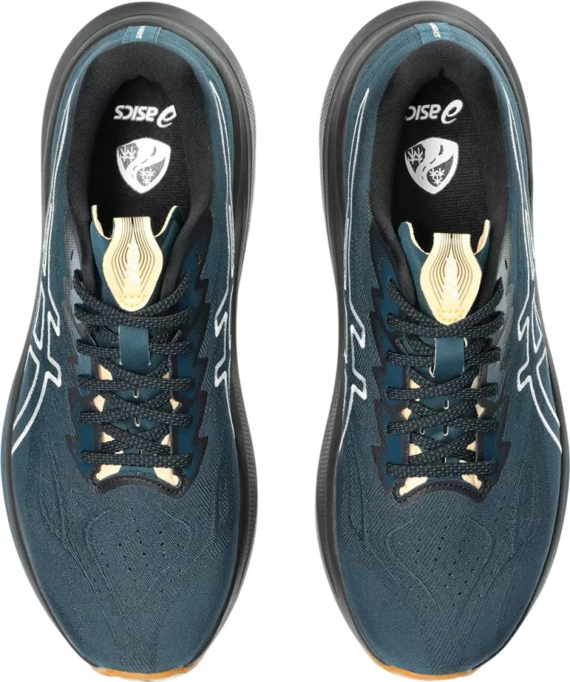 Trail copati ASICS GT-2000 14 TR