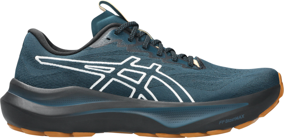 Trail copati ASICS GT-2000 14 TR