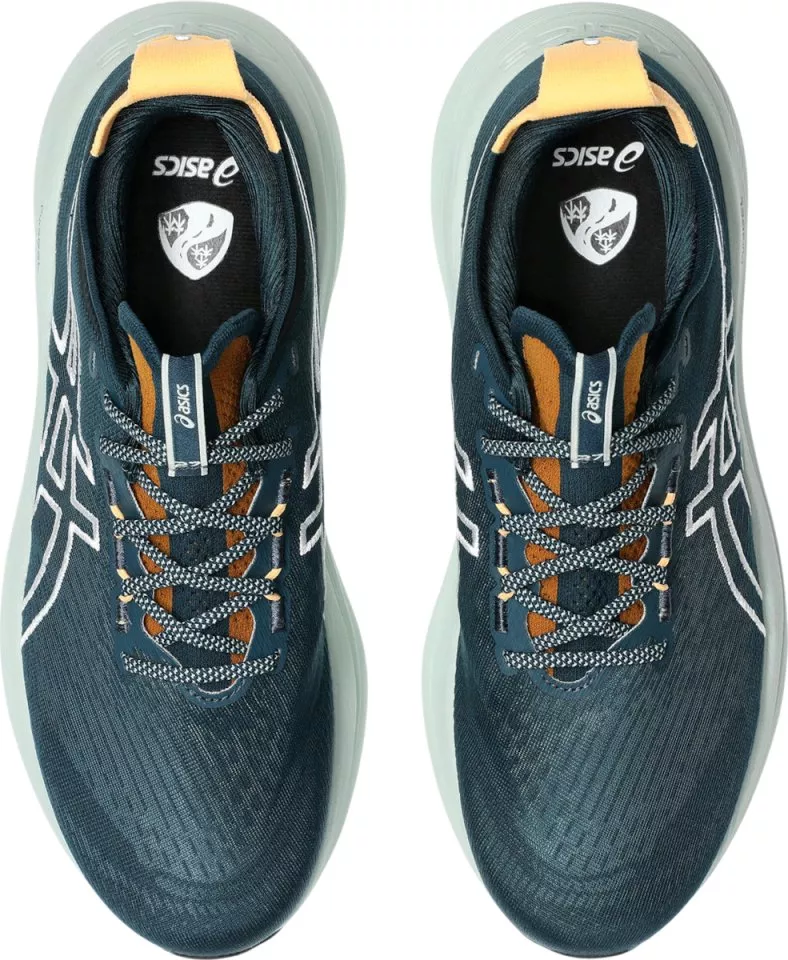 Trail shoes ASICS GEL-NIMBUS 27 TR