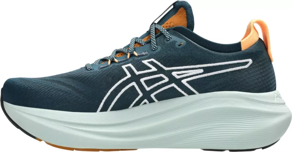 Trail shoes ASICS GEL-NIMBUS 27 TR