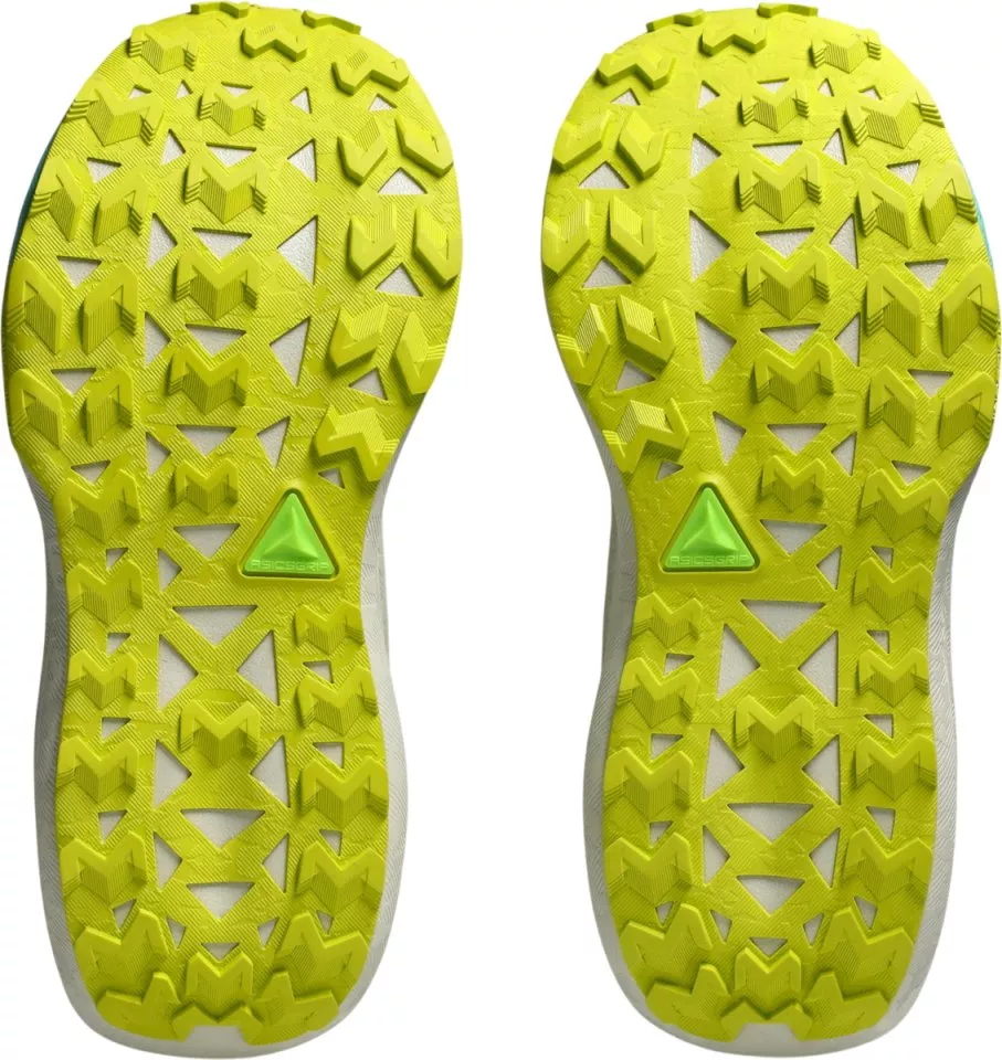 Chaussures de trail ASICS TRABUCO MAX 5