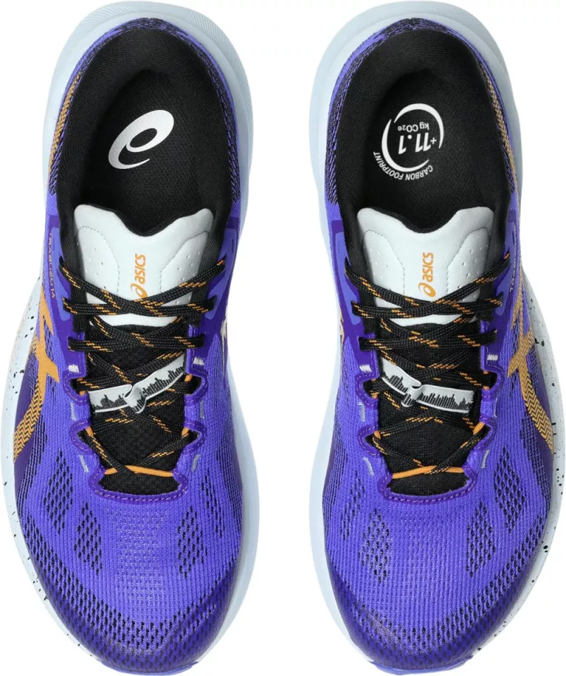 Trail-Schuhe ASICS TRABUCO 14