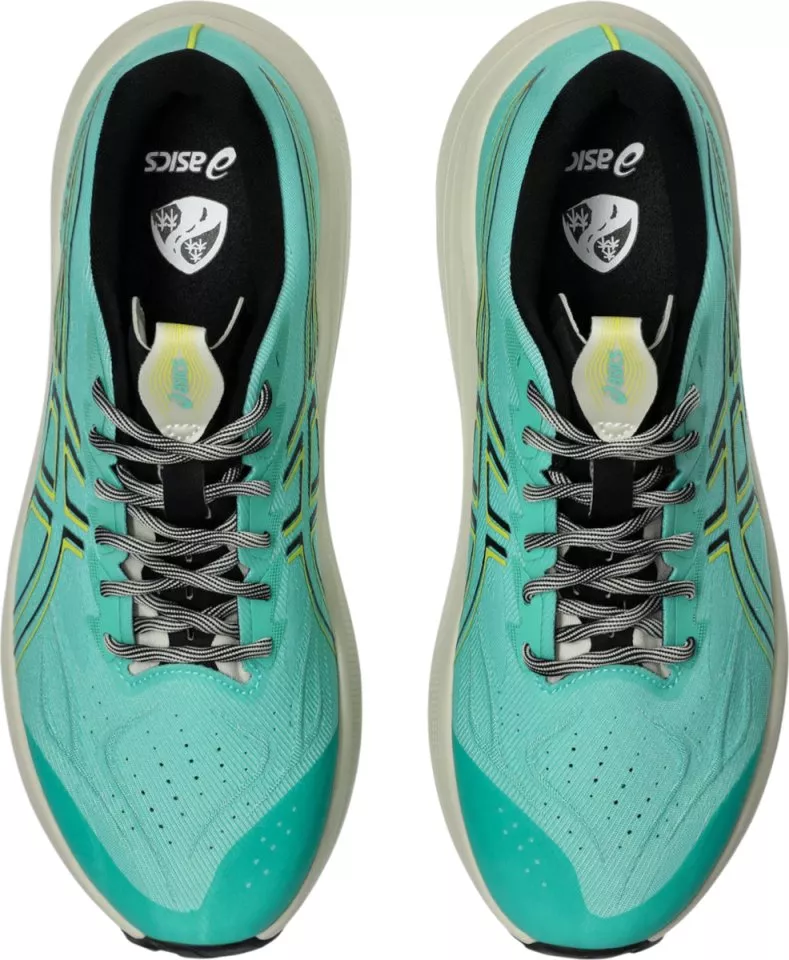 Pánské trailové boty ASICS GT-2000 14 TR