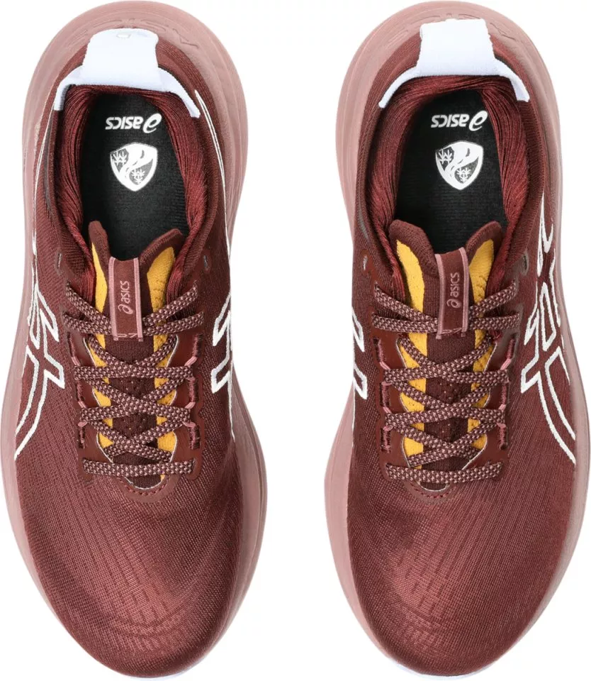 Trail copati ASICS GEL-NIMBUS 27 TR