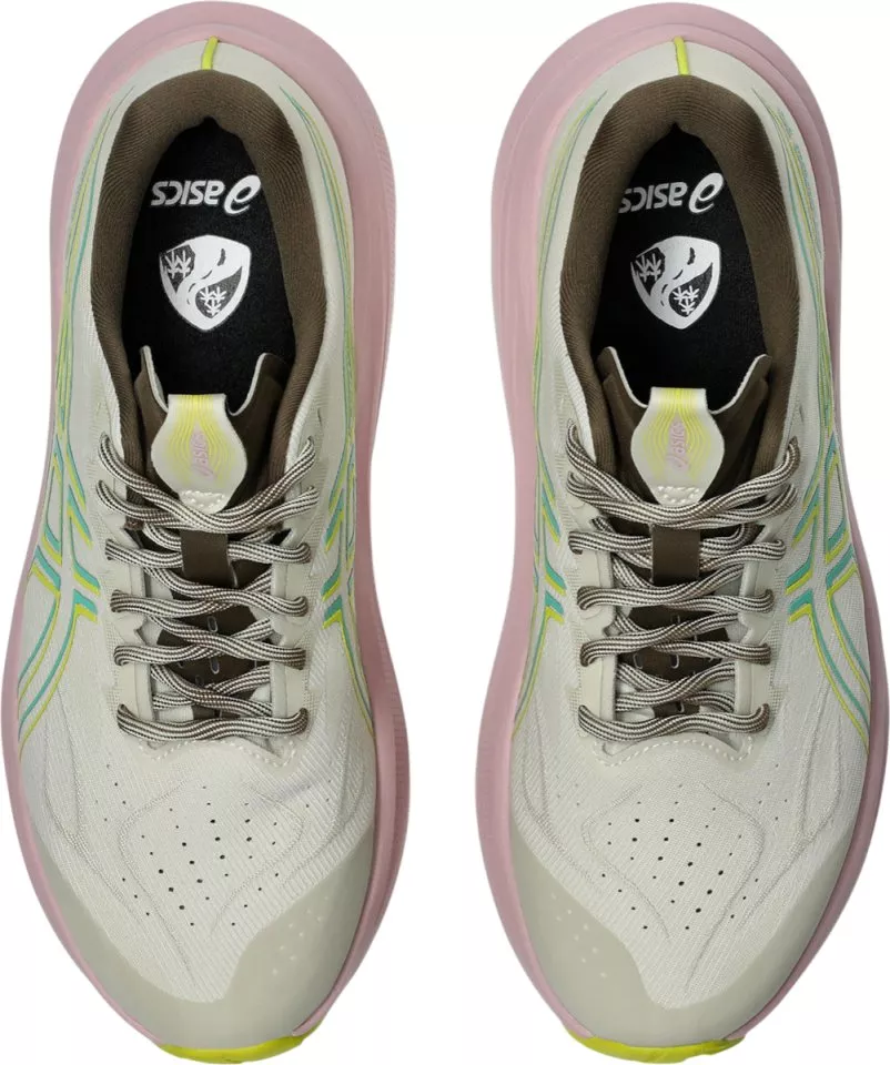 Pantofi trail ASICS GT-2000 14 TR