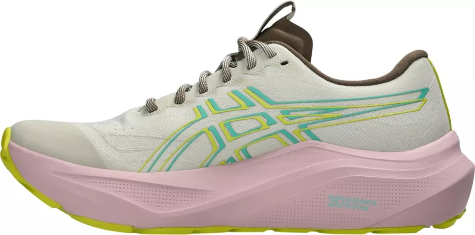 Pantofi trail ASICS GT-2000 14 TR