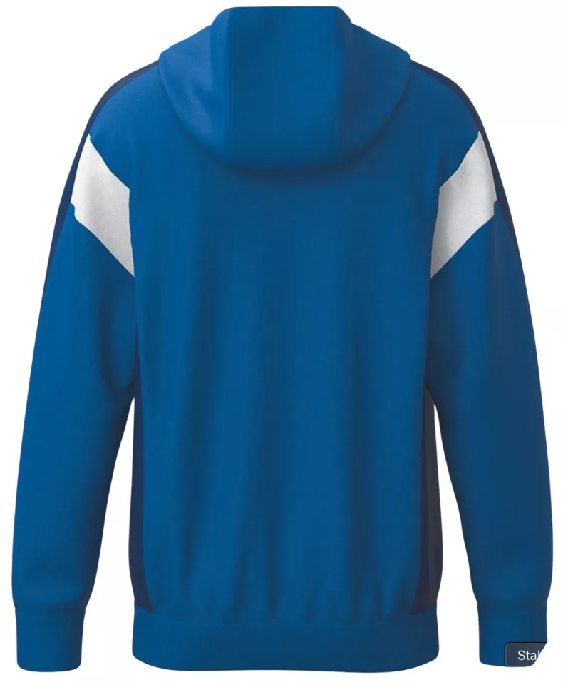 Τζάκετ με κουκούλα Erima Celebrate 125 Hooded Jacket