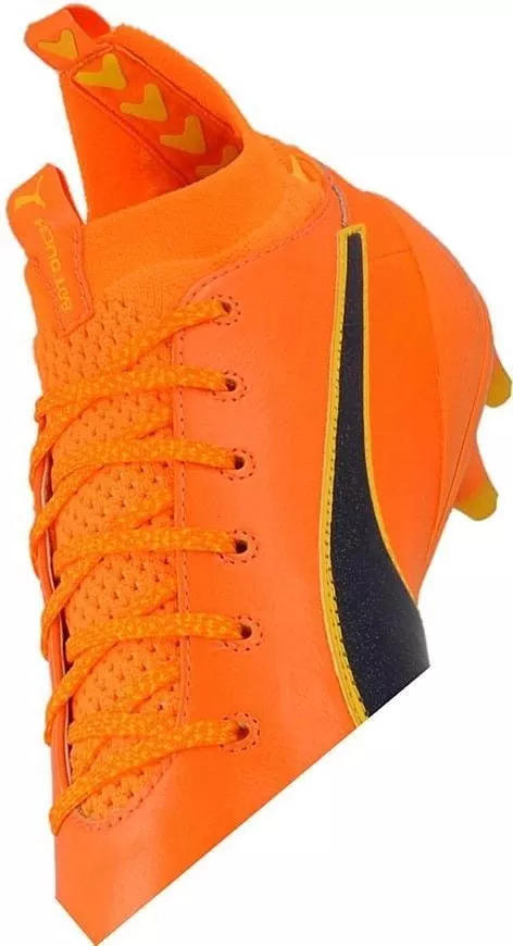 Botas de fútbol Puma Evotouch 1 FG