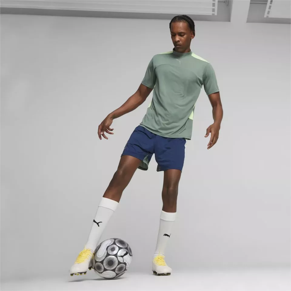 Pánské kopačky Puma King Pro FG/AG