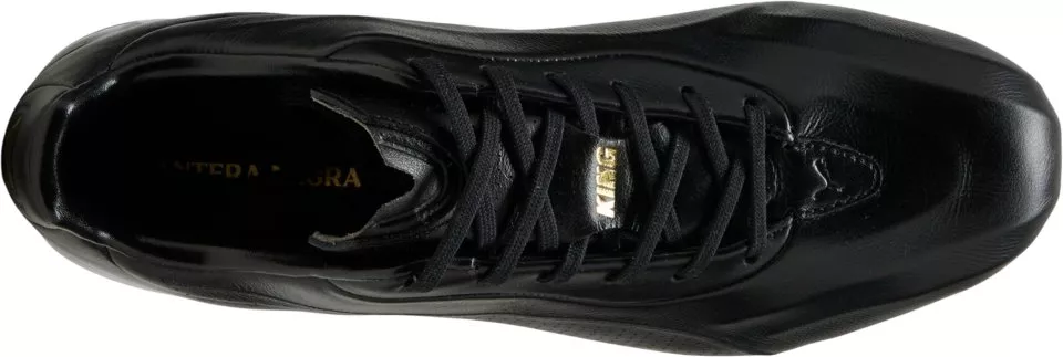 Ghete de fotbal Puma King Platinum Pantera Negra FG/AG