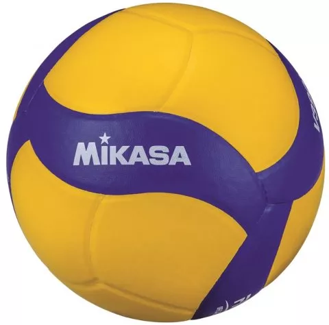 VOLLEYBALL V390W