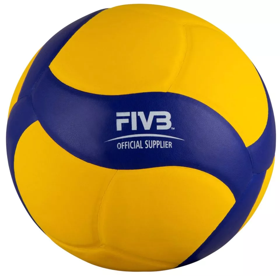 Balance ball Mikasa V330W-DVV2 Training