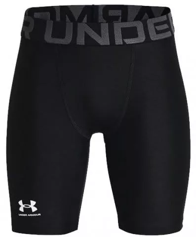 UA HG Armour Shorts