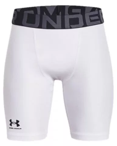 UA HG Armour Shorts