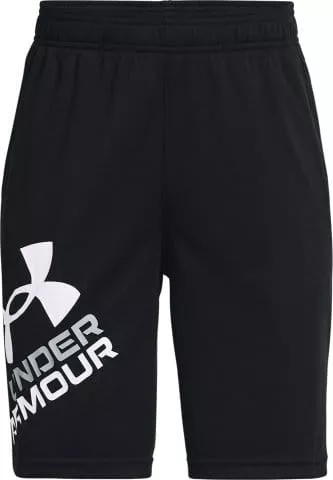 UA Prototype 2.0 Logo Shorts