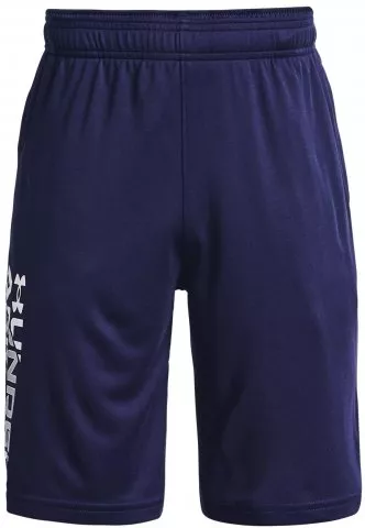 UA Prototype 2.0 Wdmk Shorts-NVY