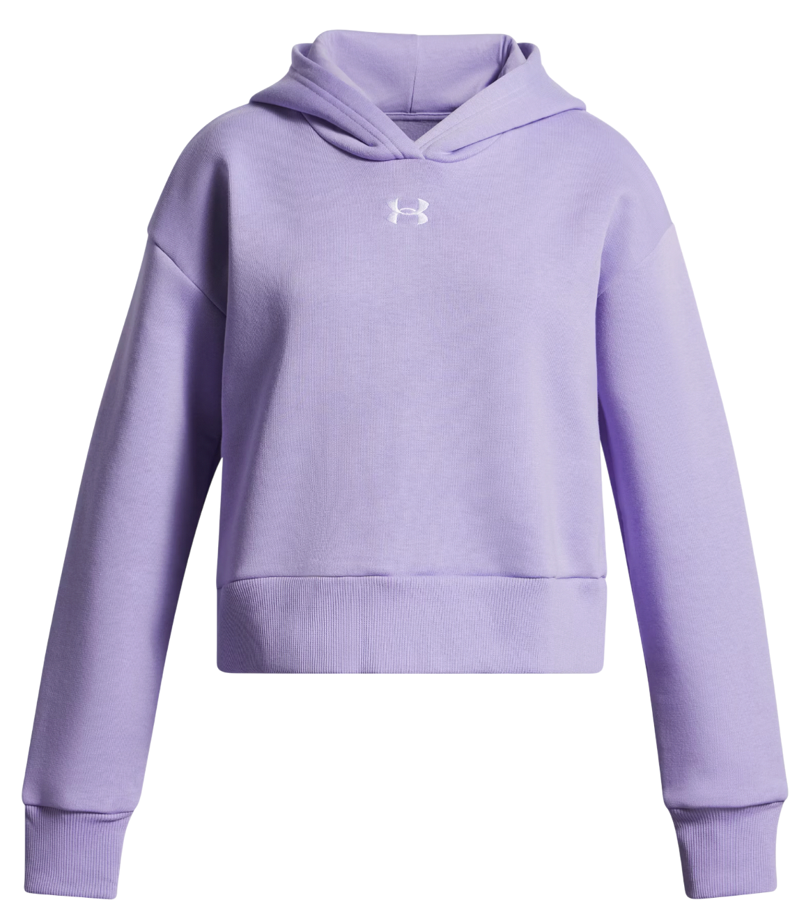 Hooded sweatshirt Under Armour UA Rival Fleece Hoodie