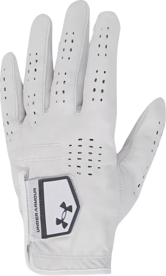 Rokavice Under Armour UA Tour Golf Glove