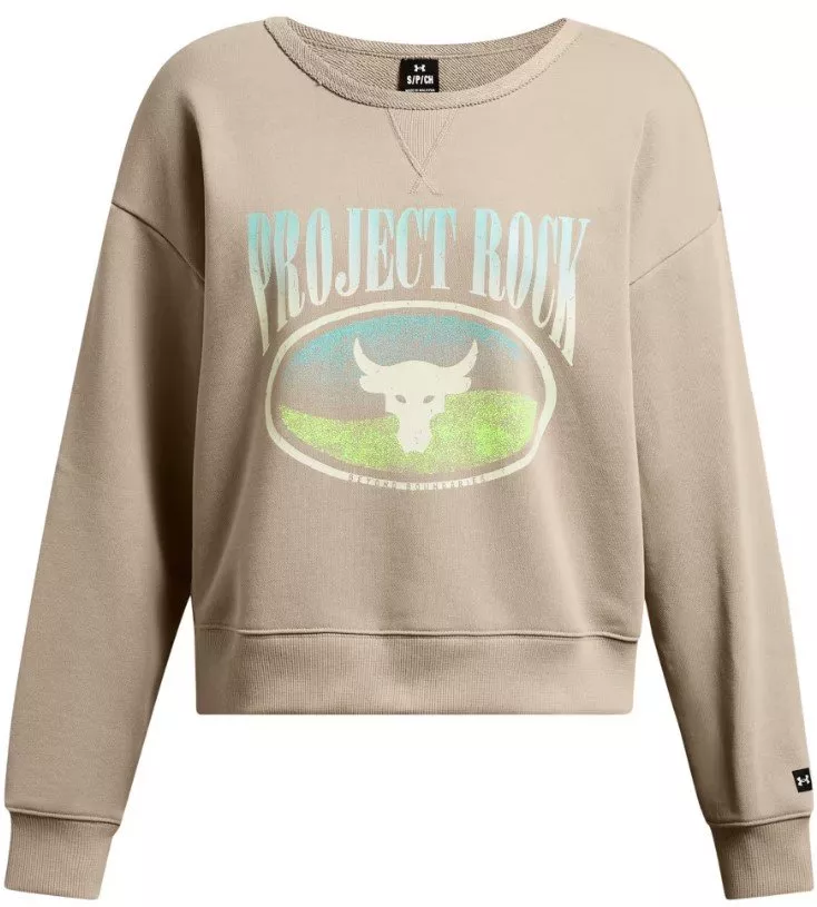 Sweatshirt Under Armour Pjt Rck HW Terry LS Q1-BRN