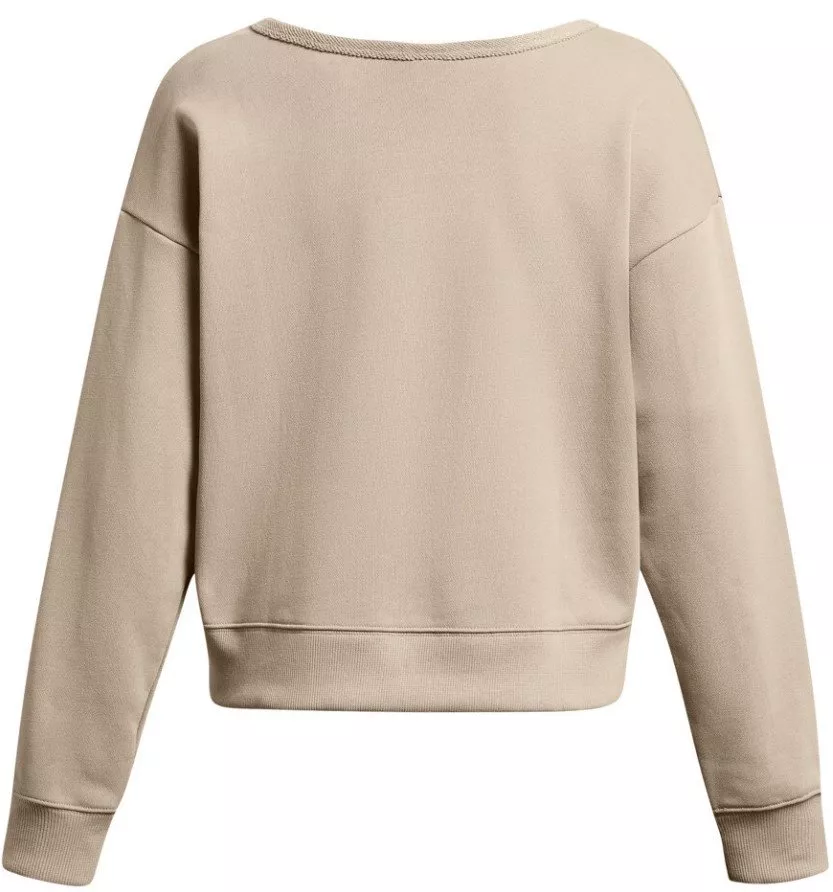 Sweatshirt Under Armour Pjt Rck HW Terry LS Q1-BRN