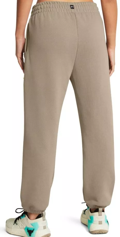 Pants Under Armour Pjt Rck Q1 HW Terry Pant-BRN