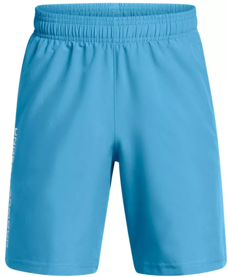 Shorts Under Armour UA Tech Woven Wordmark Short