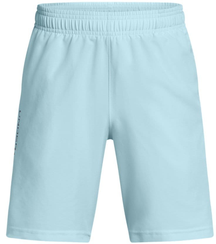 Shortsit Under Armour UA Tech Woven Wordmark Short