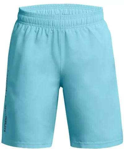 UA Woven Wdmk Shorts-BLU