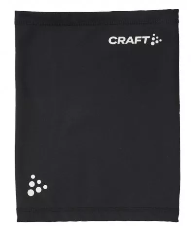 CRAFT Progress