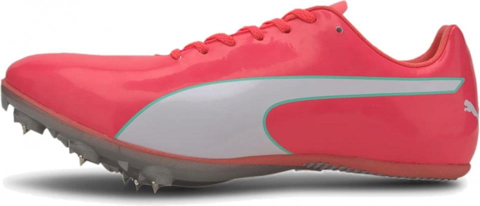 Puma evospeed sprint spikes deals