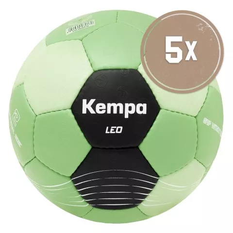 5er Ballset Leo