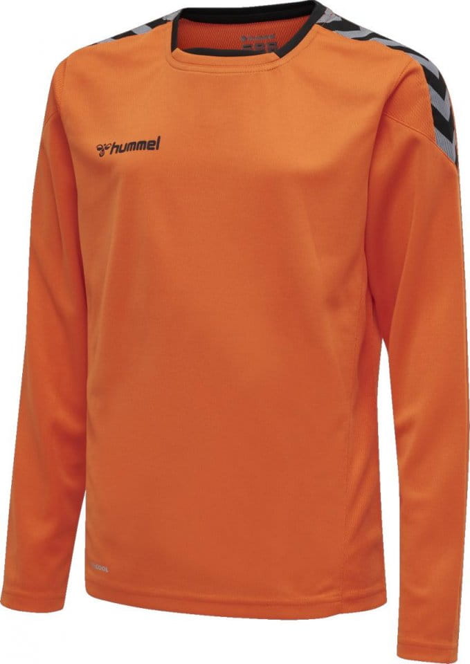 Dětský dres s dlouhým rukávem Hummel Authentic Poly Jersey