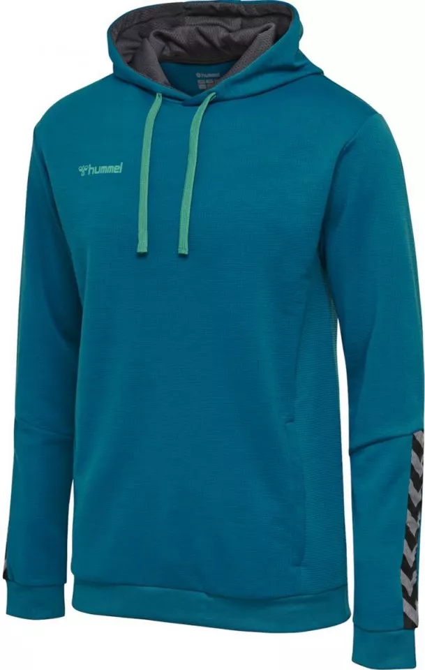 Dětská tréninková mikina s kapucí Hummel Authentic