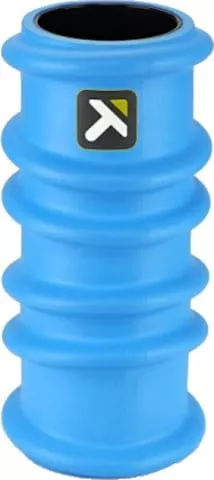 TRIGGER POINT CHARGE ROLLER