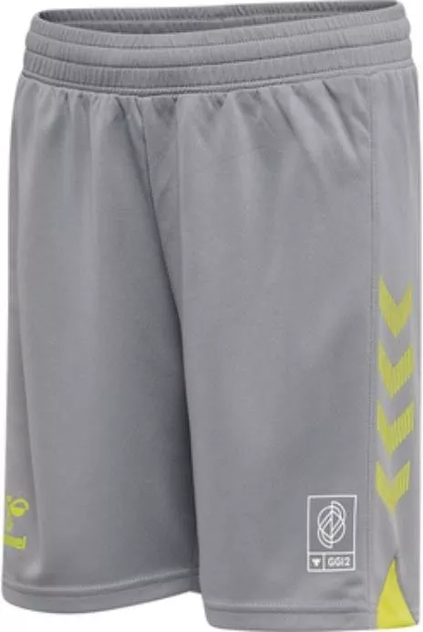 Шорти Hummel hmlGG12 ACTION SHORTS KIDS