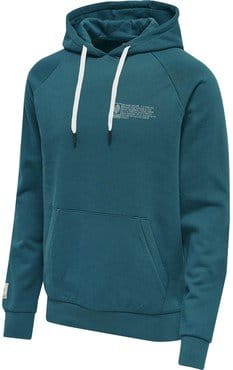 Sudadera con capucha Hummel hmlGG12 SWEAT HOODIE