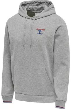 hmlIC DAYTON HOODIE